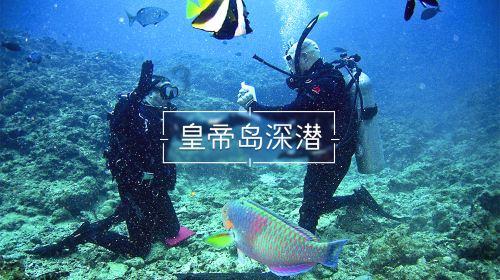 【干在实处 走在前列 勇立潮头】专访市人大代表王学周 :将会议精神转化为动力 助力乡村振兴